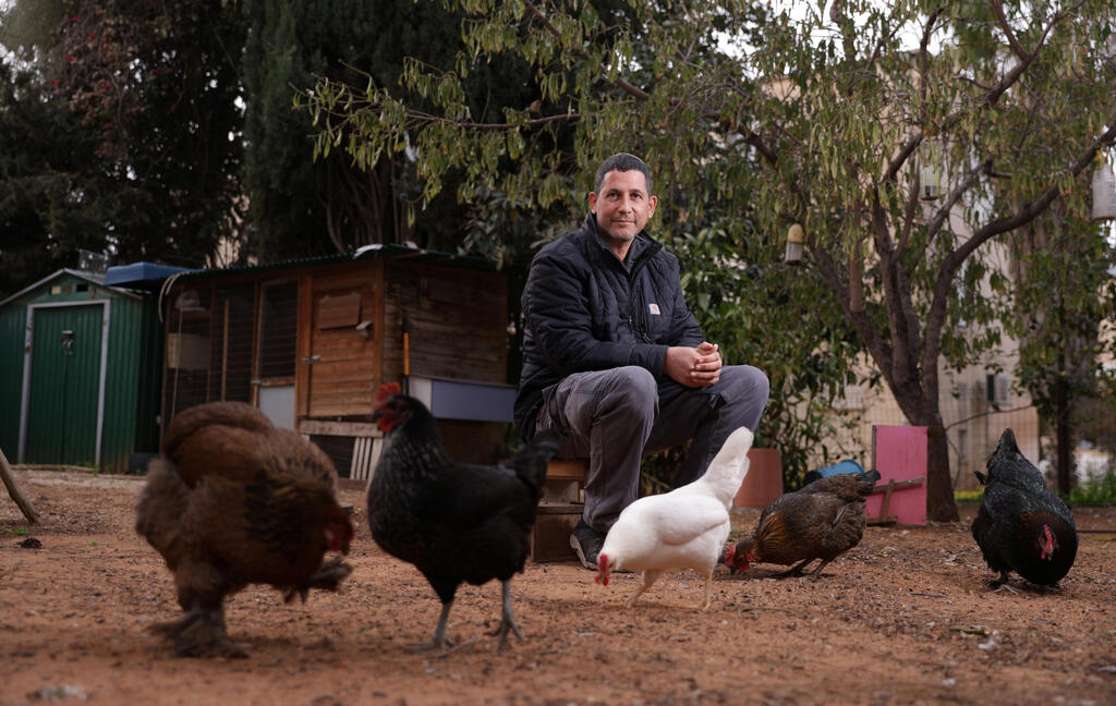  מוליוף עם חלק מהתרנגולות שלו. "המבוגרות הולכות לישון ראשונות והצעירות יותר מאוחר, ממש כמו אצלנו"