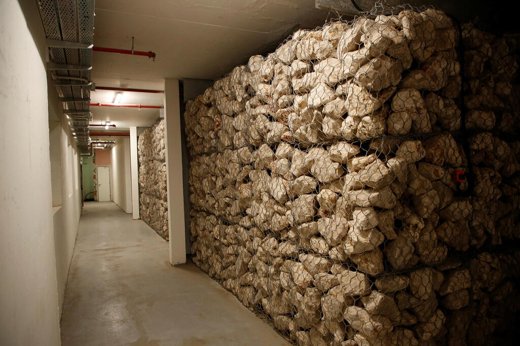 מאגר אבנים בתחתית מבנה הספרייה הלאומית