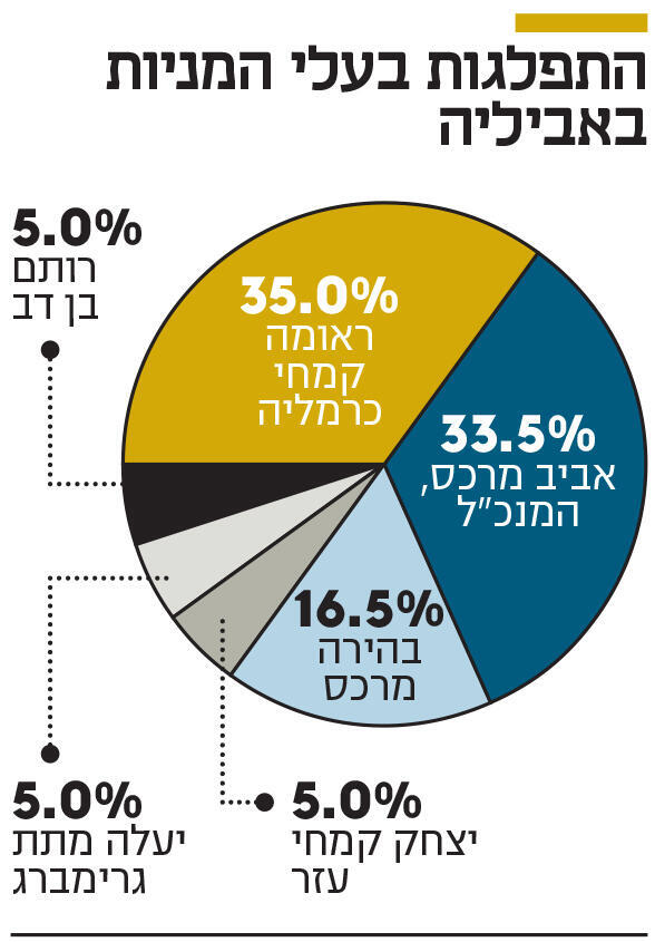 התפלגות בעלי המניות באביליה אינפו התפלגות בעלי המניות באביליה
