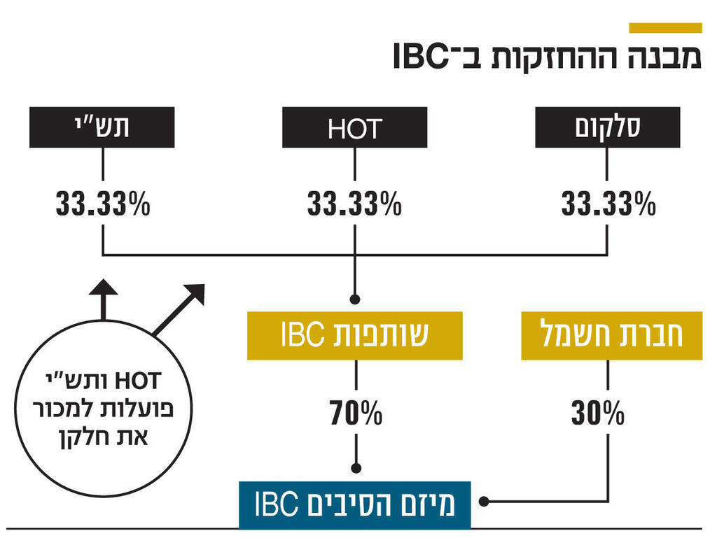 אינפו מבנה ההחזקות ב IBC