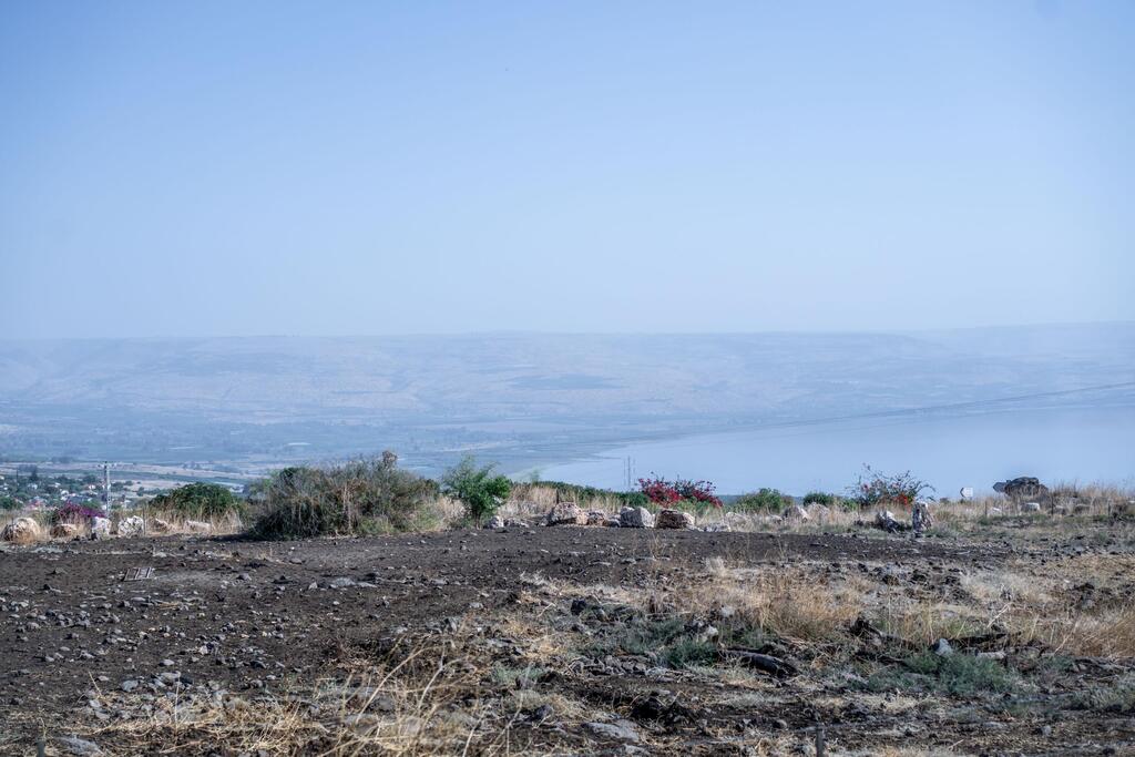 מסעדה טיבי'ס ורד הגליל