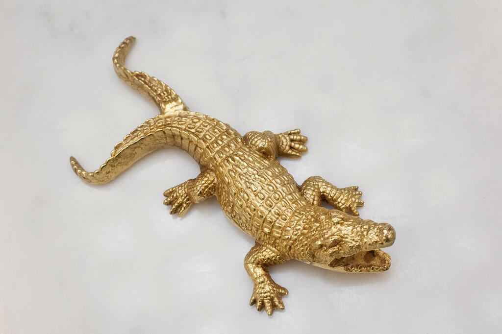 קרוקודיל בארוקי של האחים קמפנה הברזילאים פנאי