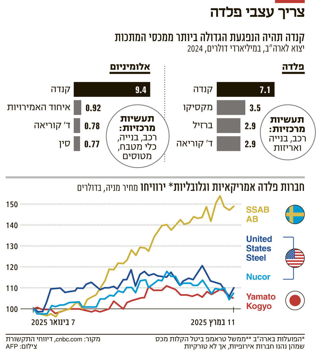 אינפו צריך עצבי פלדה 