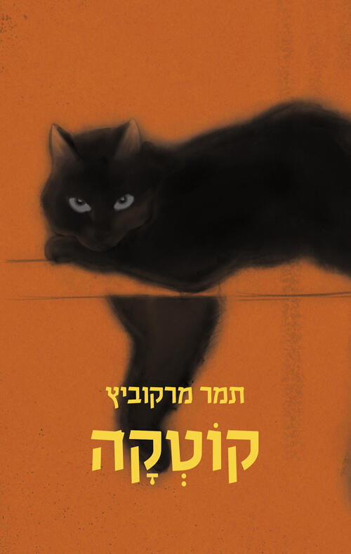 צילום: יובל חן
