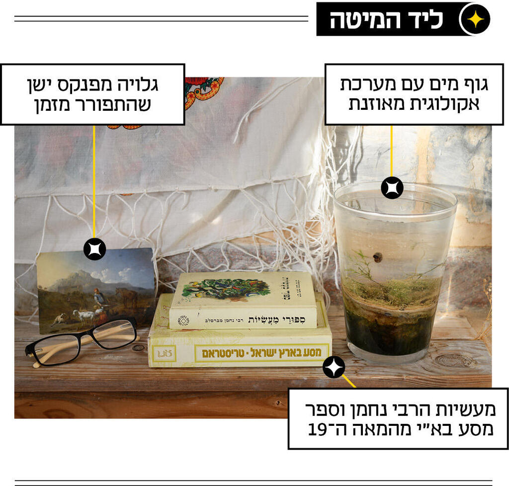 מדור אור קטן 20.03