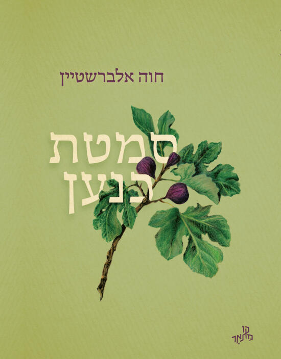 צילום: ירון שילון