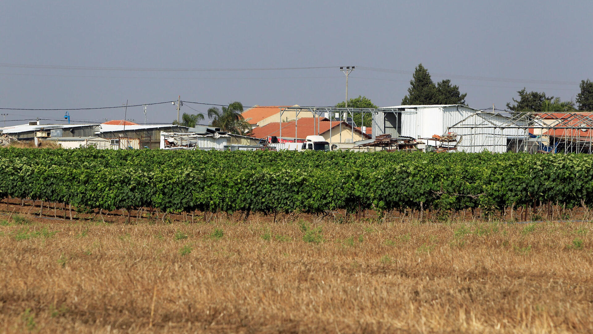 שדות מושב במרכז שתולים