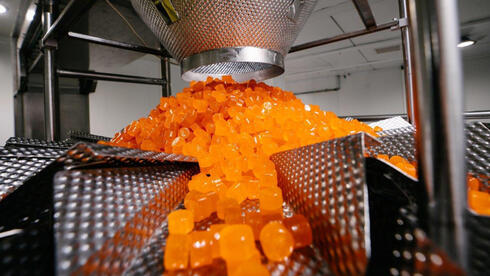 תרופות בסוכריות גומי: טופ גאם רוכשת פעילות פארמה בארה"ב ב-37 מיליון דולר