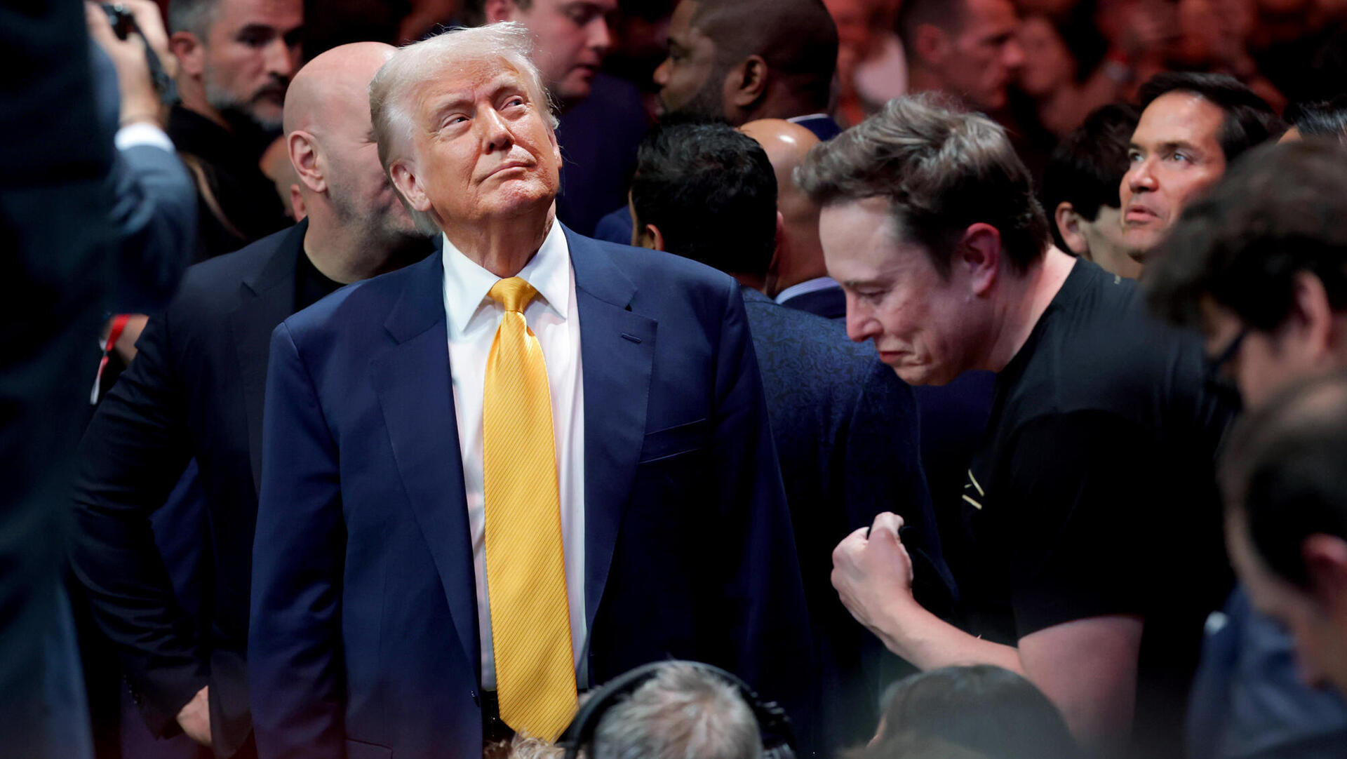 אילון מאסק ו דונלד טראמפ