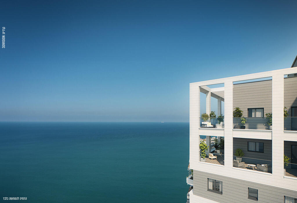 פרויקט Nנתניה