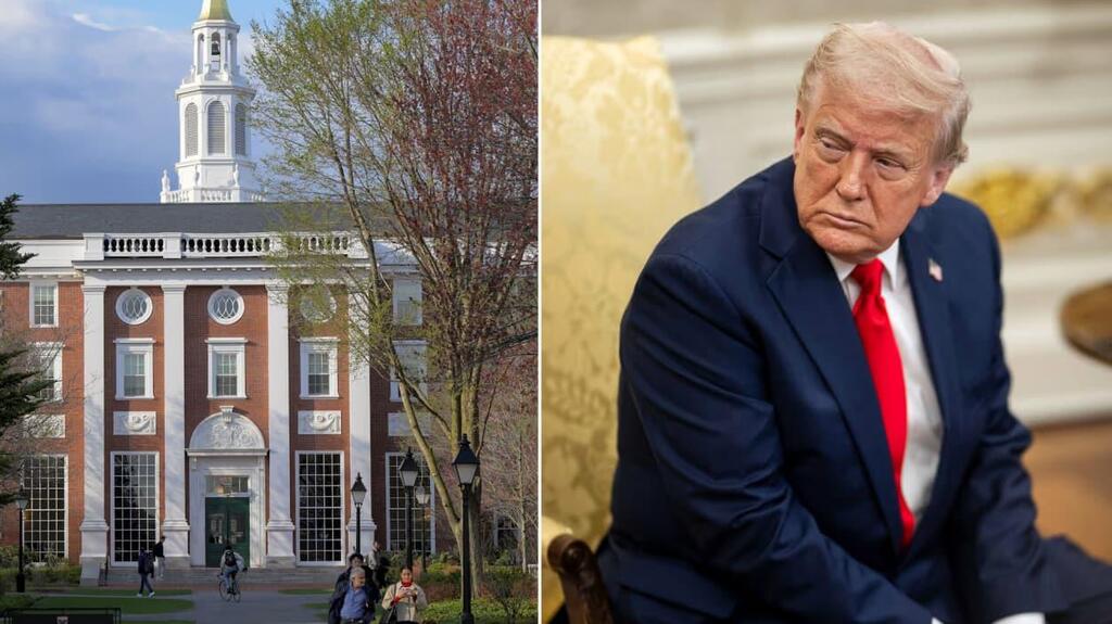 טראמפ אוניברסיטת הרווארד
