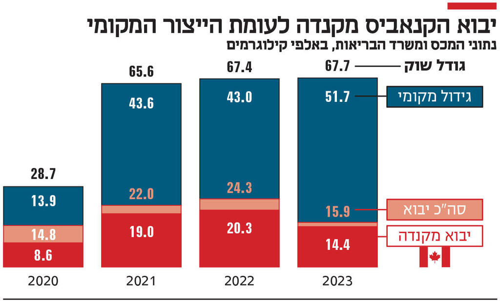 אינפו יבוא הקנאביס מקנדה לעומת הייצור המקומי