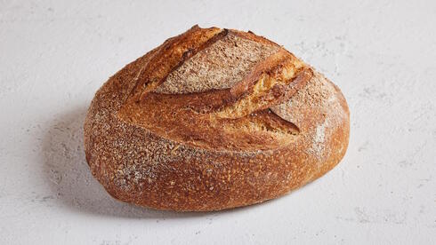 צילום: אוראל כהן