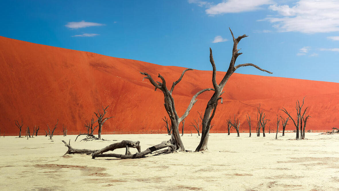פוטו נופים יוצאי דופן נמיביה dead vlei