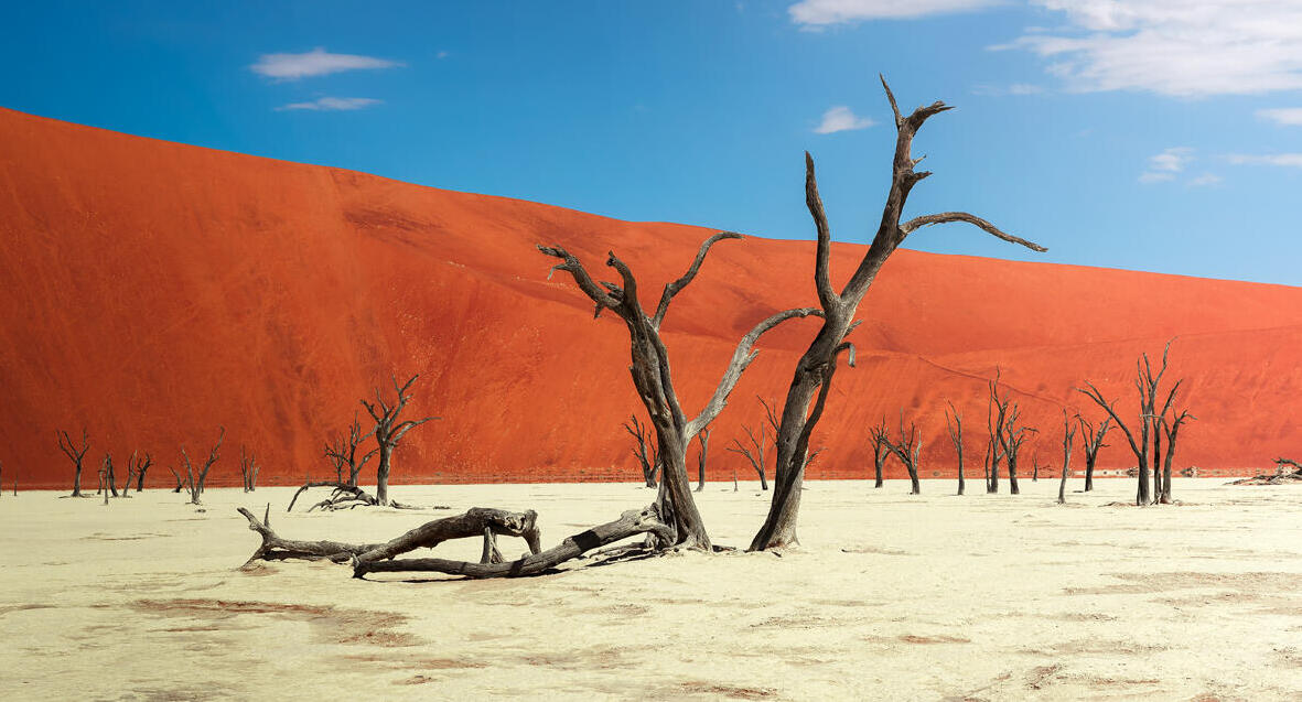פוטו נופים יוצאי דופן נמיביה dead vlei