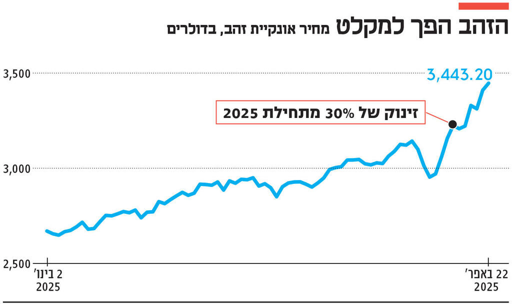 אינפו הזהב הפך למקלט