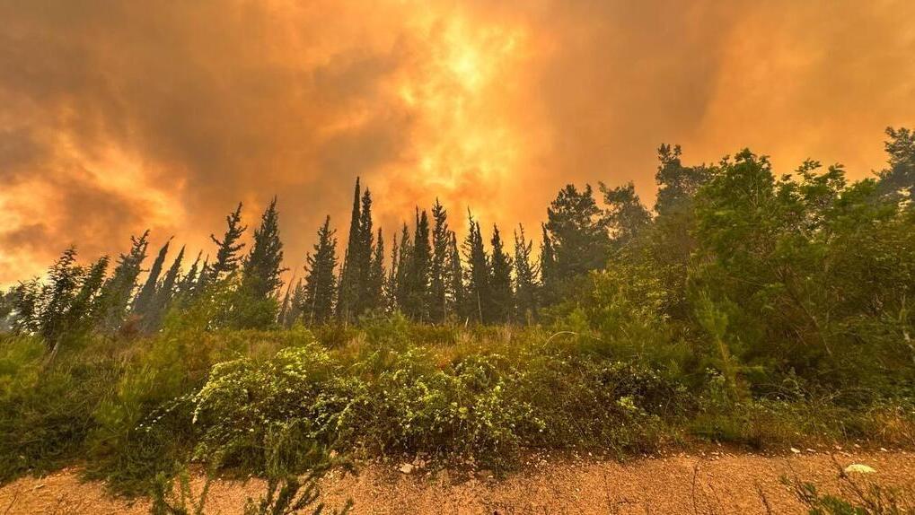 שריפה ליד בית שמש ו אשתאול