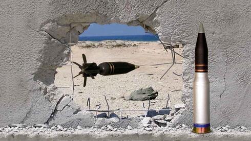 הביקוש הגלובלי למרעומים הזניק את ארית לשיא: ההכנסות קפצו ב-300%