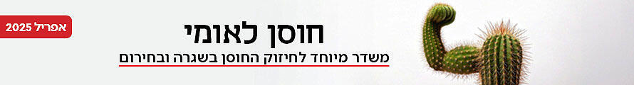 חוסן לאומי 