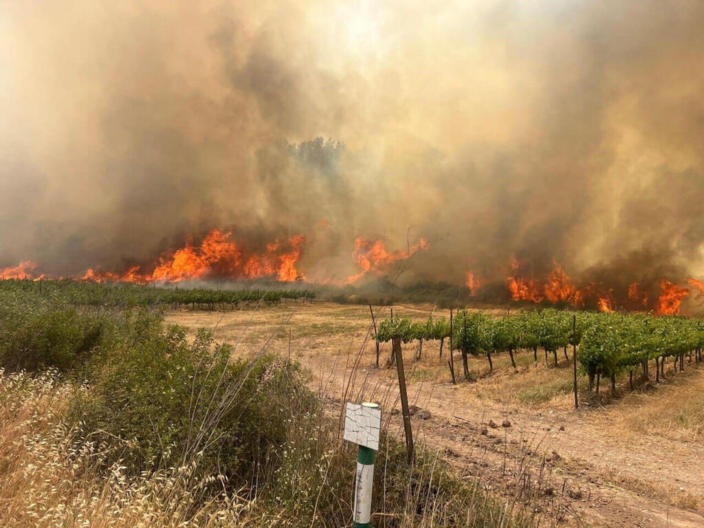 התלקחות שריפה שריפות בדרך ל ירושלים