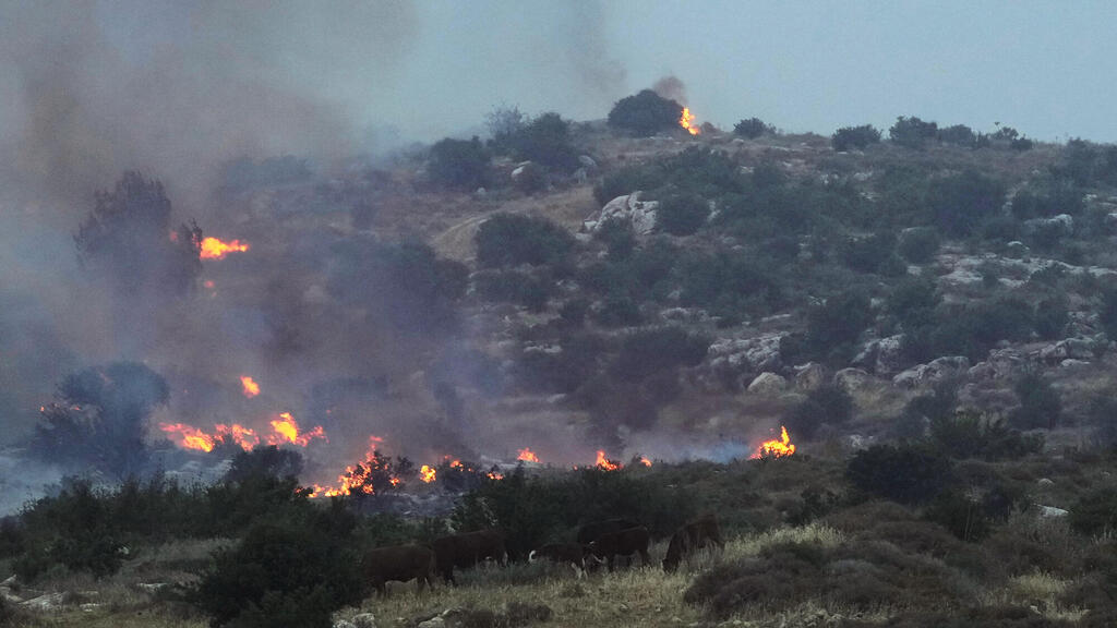 שריפה בהרי ירושלים. היעדים לא הושגו, הליקויים לא תוקנו (צילום: AP Photo/Ohad Zwigenberg) שריפה שריפות ב הרי ירושלים פרות 30.4.25