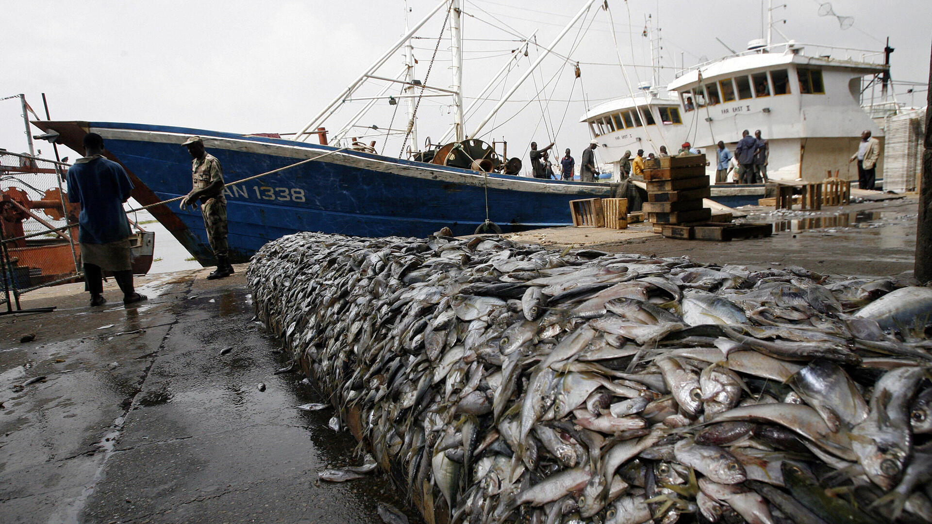 דיג תעשייתי דיג מסיבי