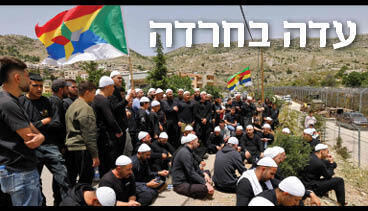 מוסף כלכליסט