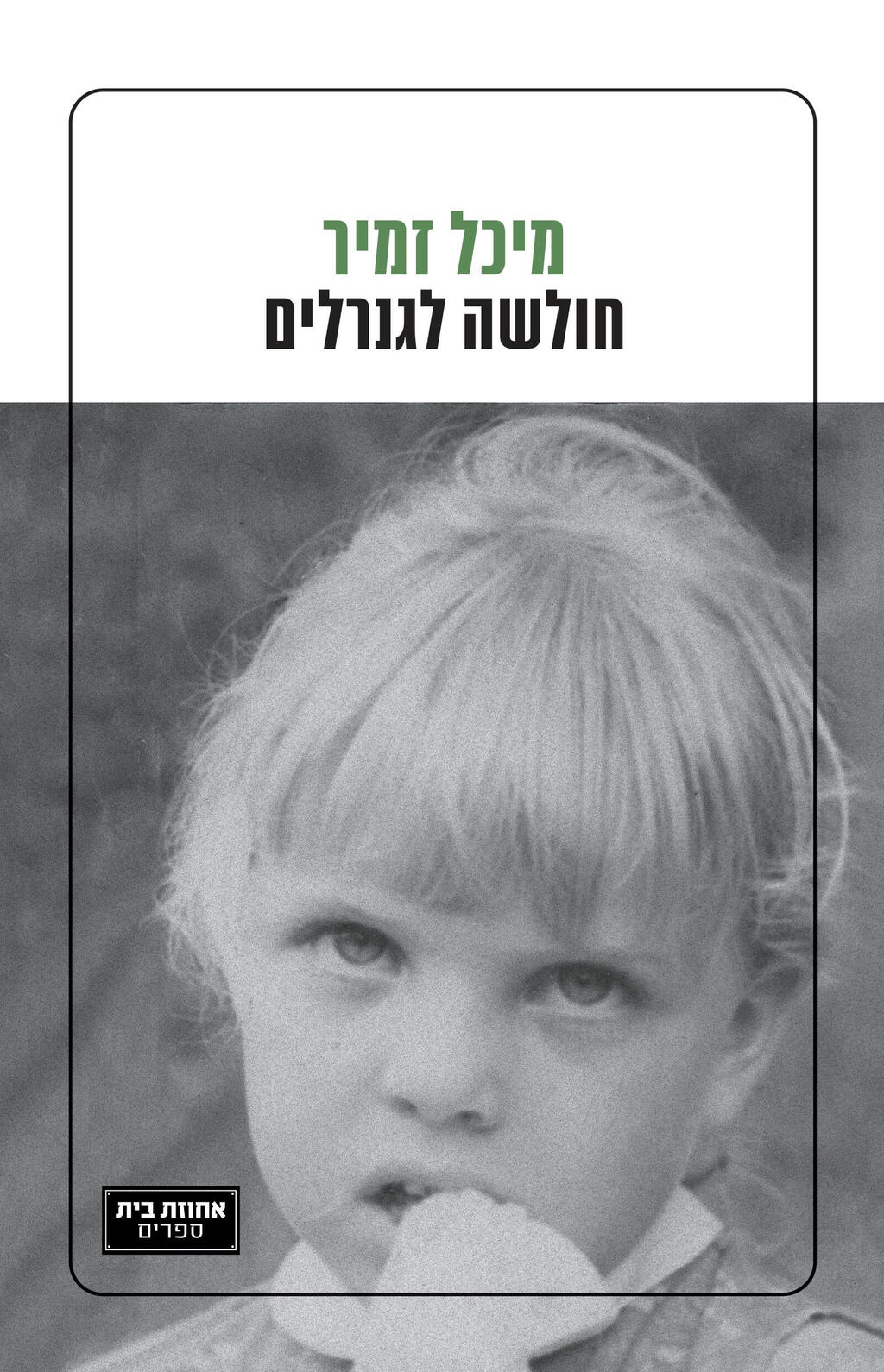 כריכת הספר חולשה לגנרלים של מיכל זמיר פנאי