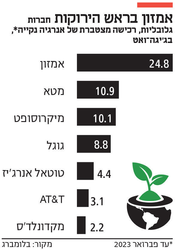 אינפו אמזון בראש הירוקות