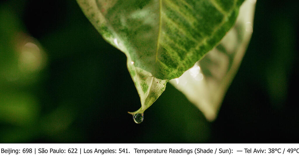 פנאי  צבע טרי רוני דואק 