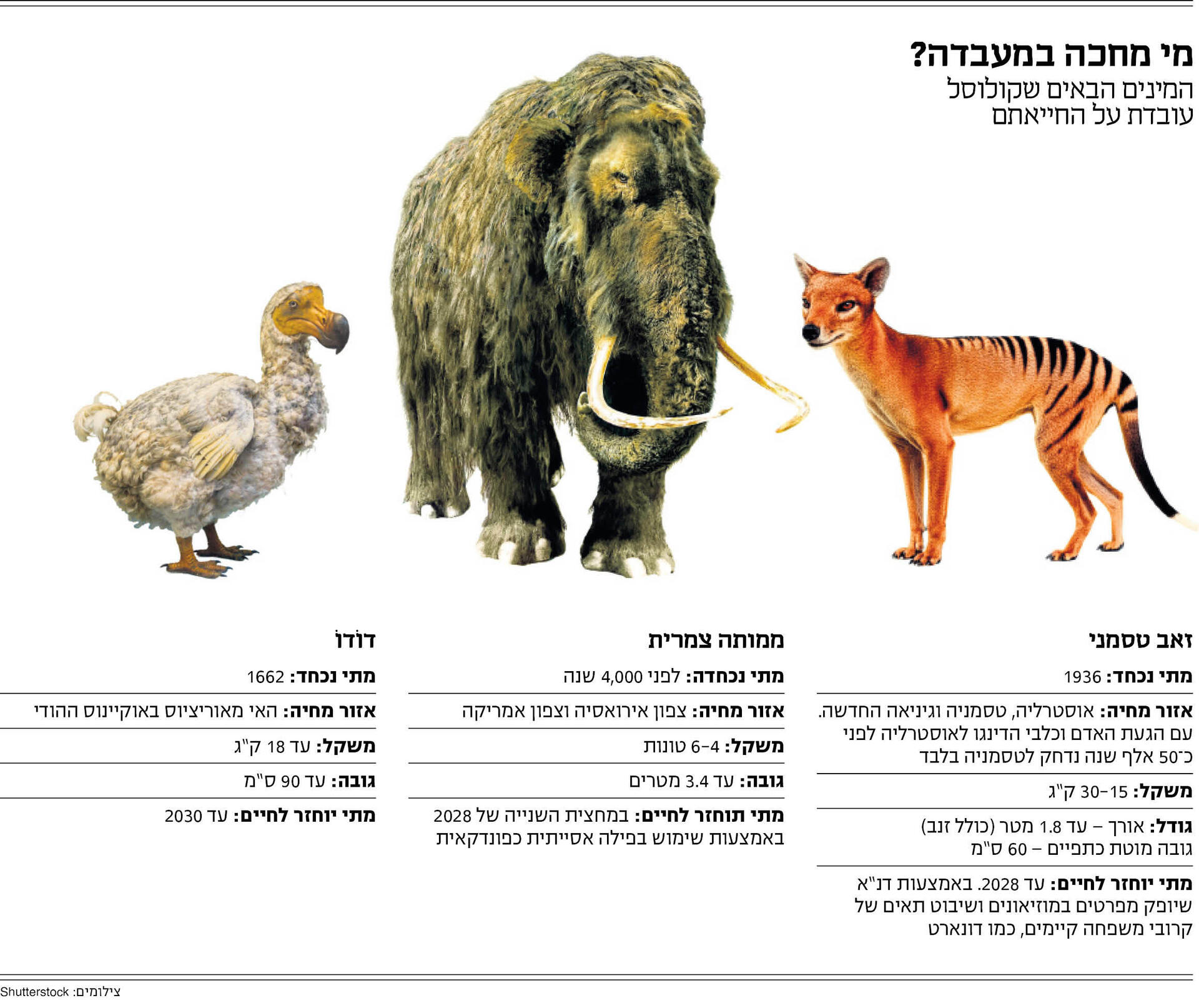 אינפו מוסף 15.05 אינפו מוסף 15.05