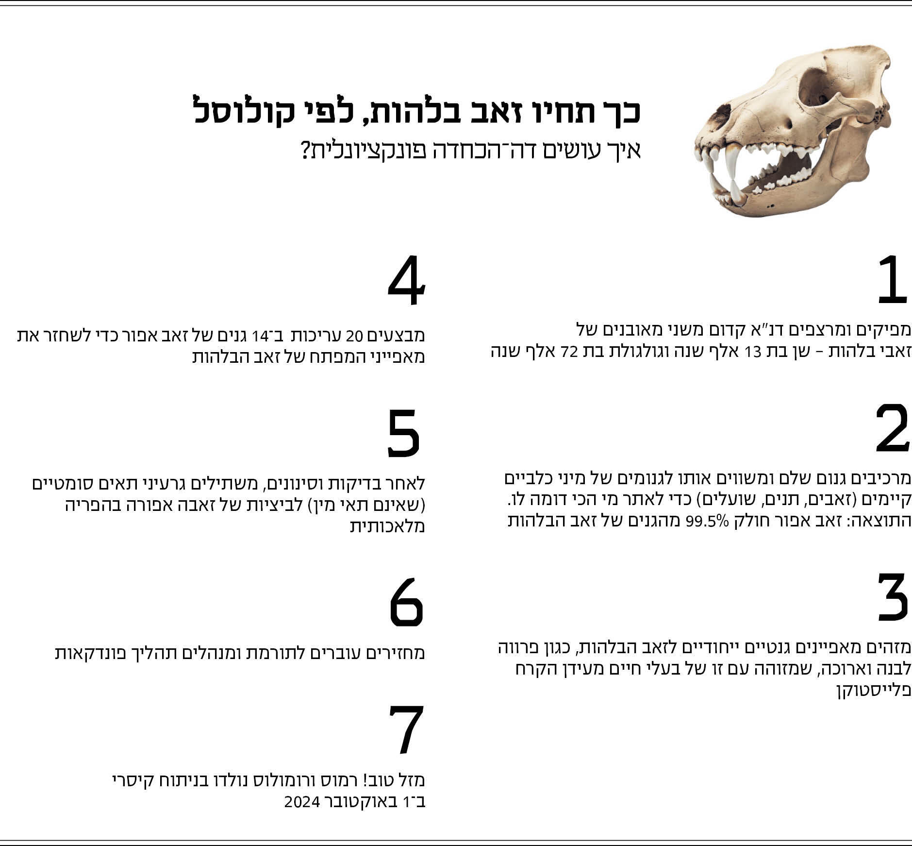 אינפו מוסף 15.05 אינפו מוסף 15.05