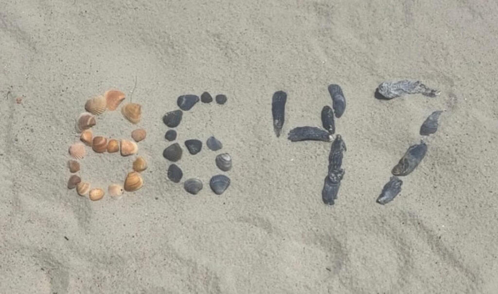 פוסט 8647 של ג'יימס קומי