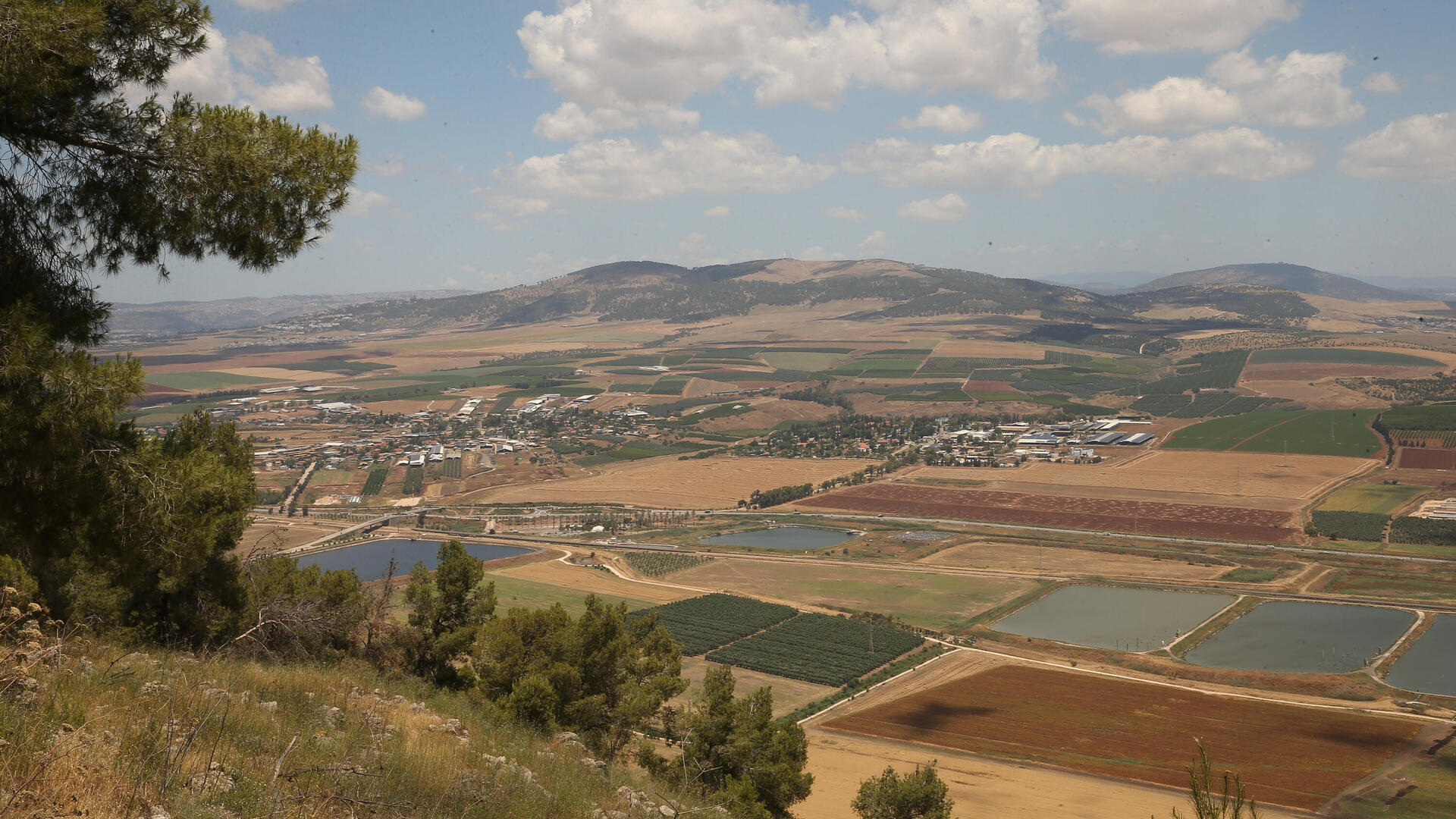 בית שאן וסביבתה. את שתי המועצות המקומיות יכולה להחליף הנהגה אזורית אחת שכל תושבי האזור יבחרו