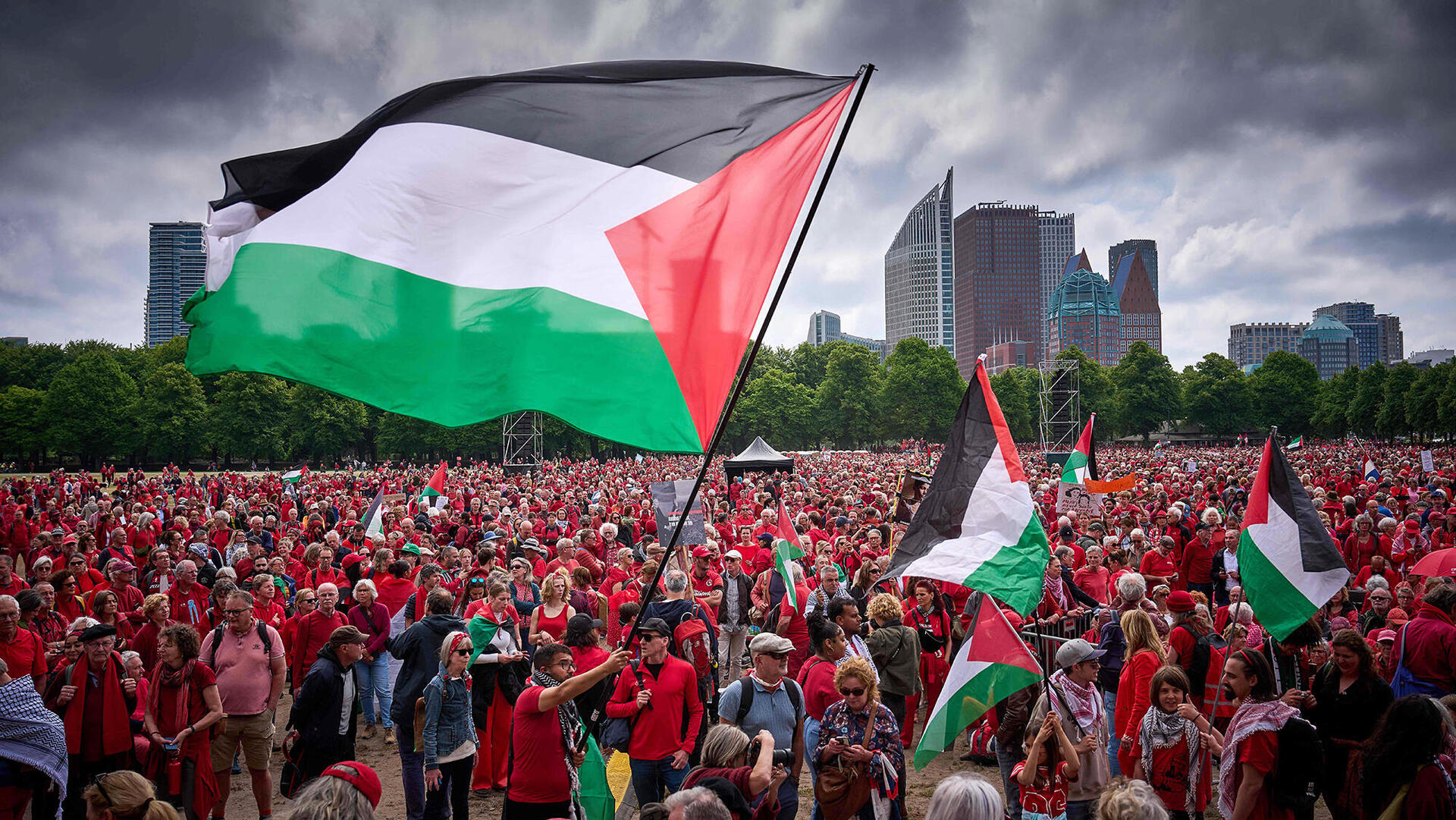 הפגנה פרו פלסטינית ב האג בשבוע שעבר