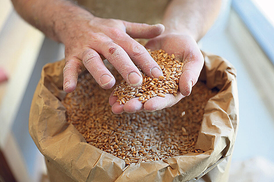פנאי חגי בן יהודה מאפיית חגי חיטה