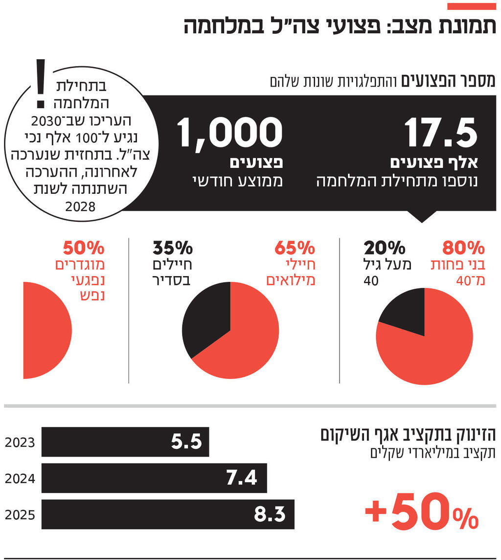 אינפו תמונת מצב: פצועי צה"ל במלחמה