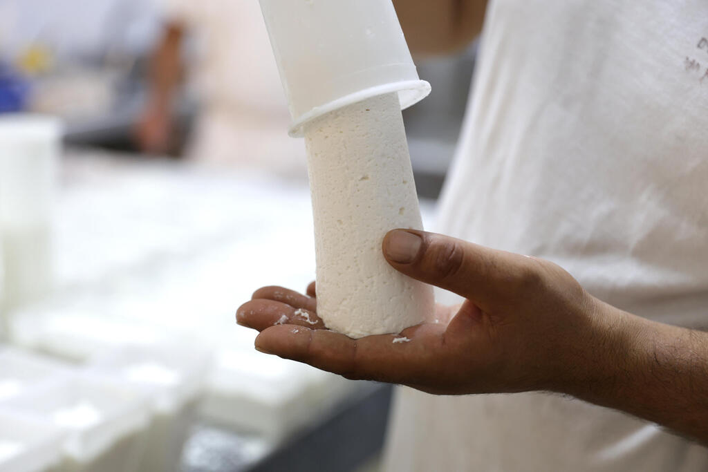 פנאי רון דוד מחלבה אחיטוב גבינה 1