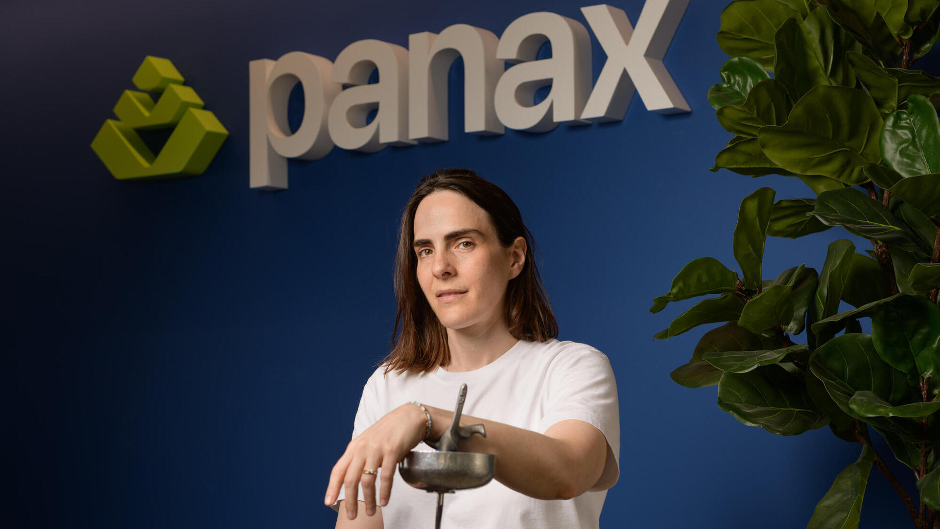 נעם מילס PANAX