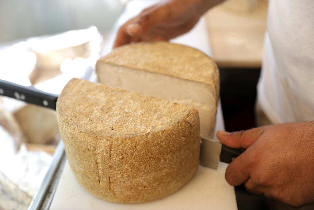 פנאי רון דוד מחלבה אחיטוב גבינה 2