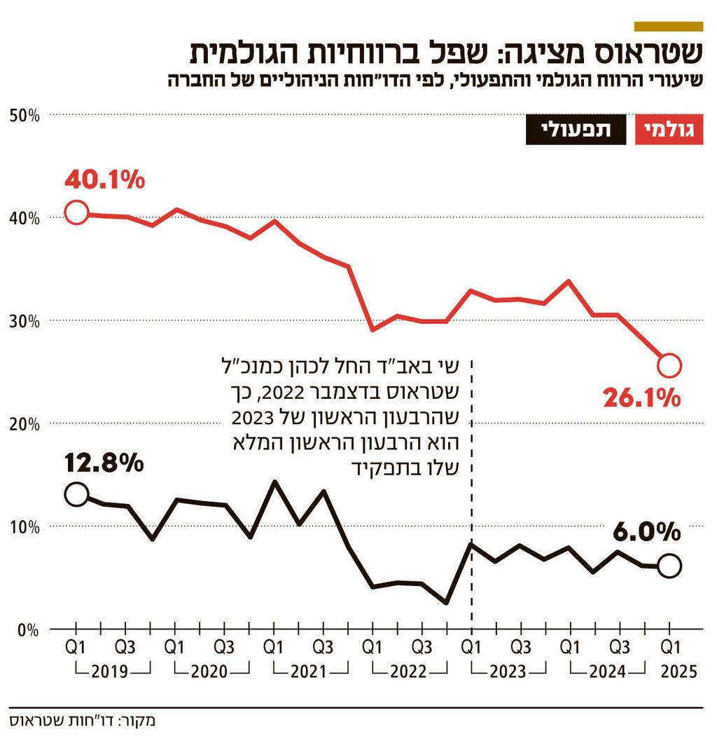 אינפו שטראוס מציגה שפל ברווחיות הגולמית