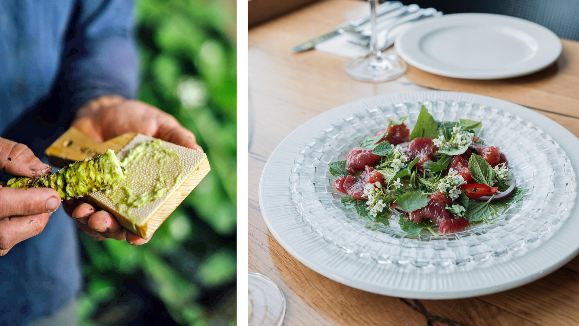 מימין טונה אדומה עם עלי פרחי ושורש ווסאבי בפסקדו ו שורש ווסאבי הופך למשחה פנאי