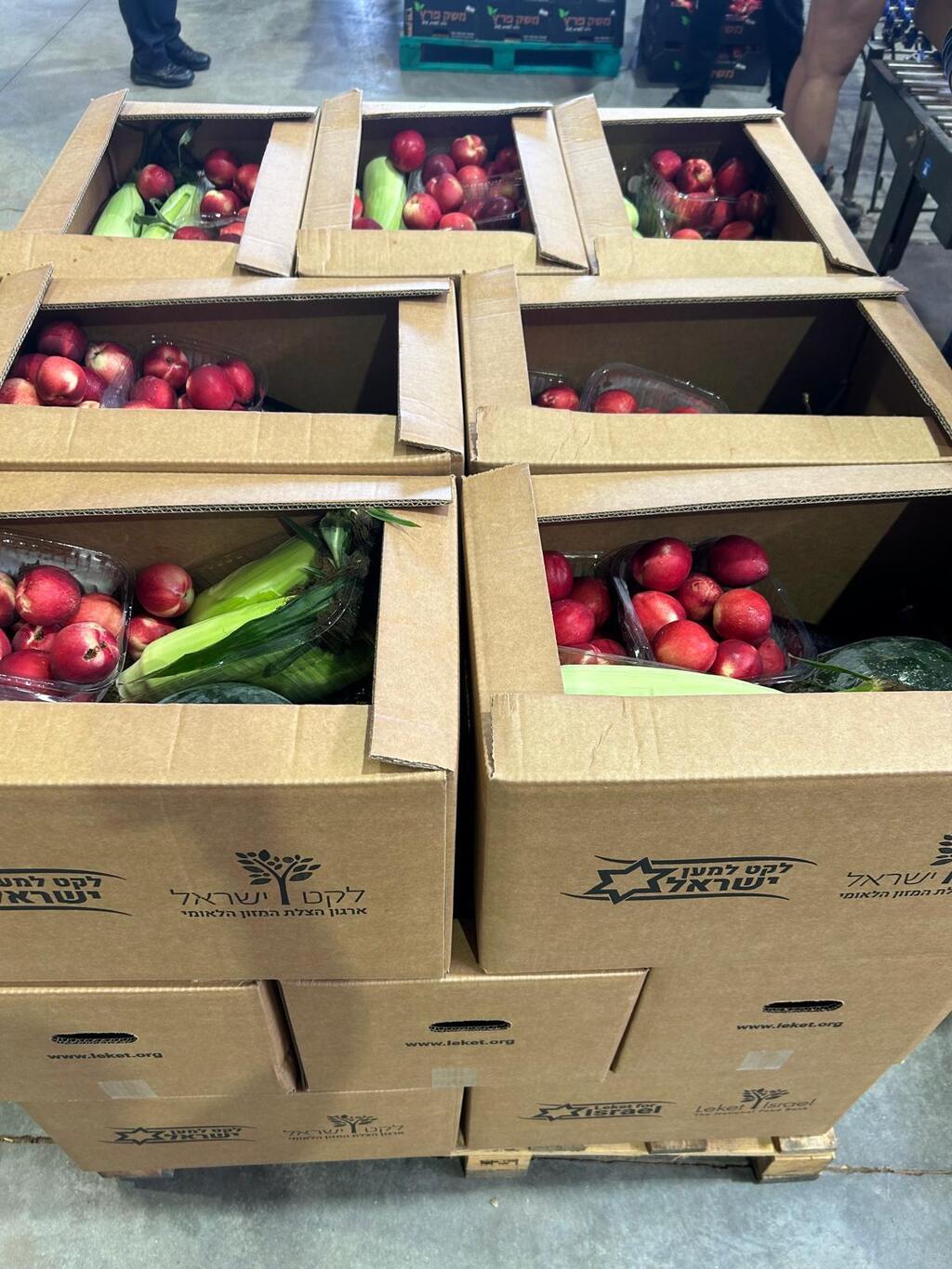 לקט ישראל, ארגון הצלת המזון הלאומי