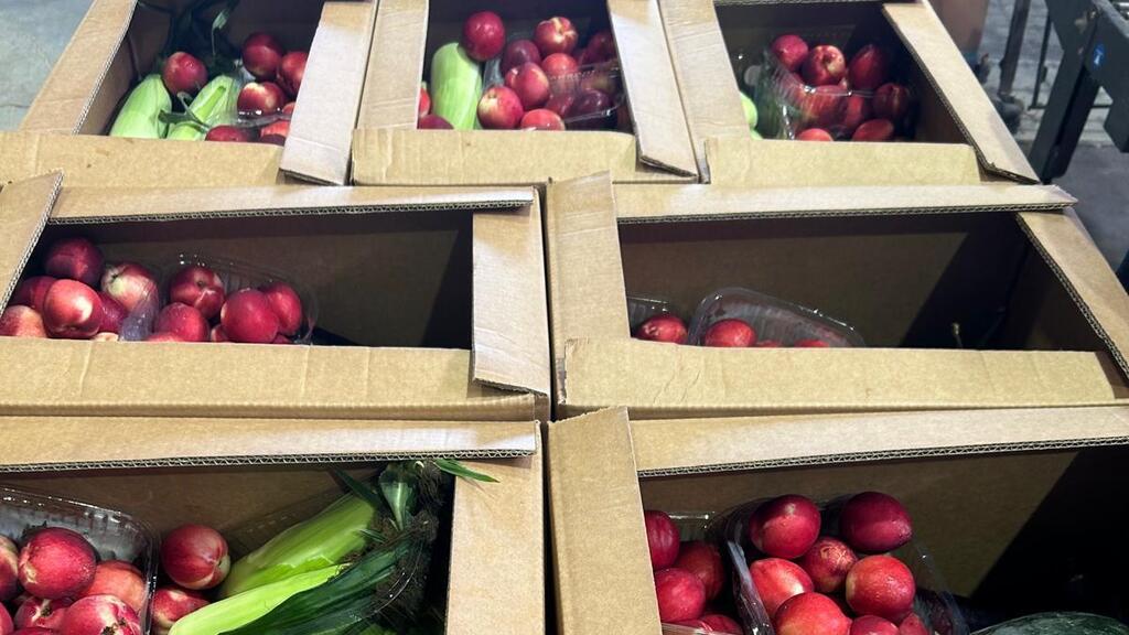 לקט ישראל. 260 אלף טונות יושלכו לאשפה (באדיבות: לקט ישראל) לקט ישראל, ארגון הצלת המזון הלאומי