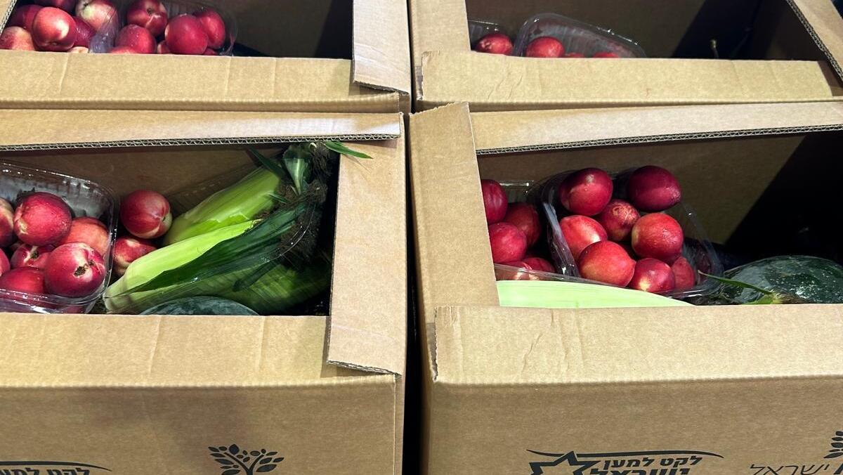 לקט ישראל, ארגון הצלת המזון הלאומי