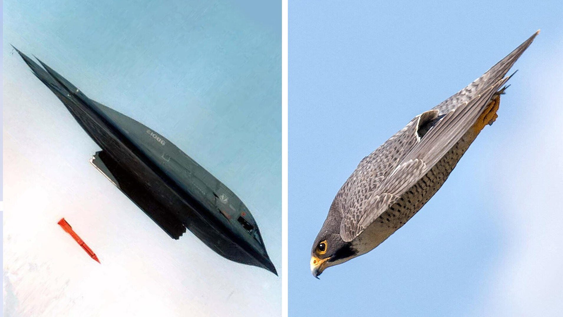 הקברניט מפציץ B2 חמקן 21