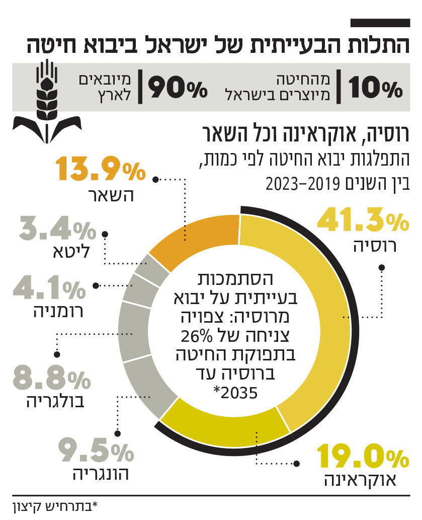 אינפו התלות הבעייתית של ישראל