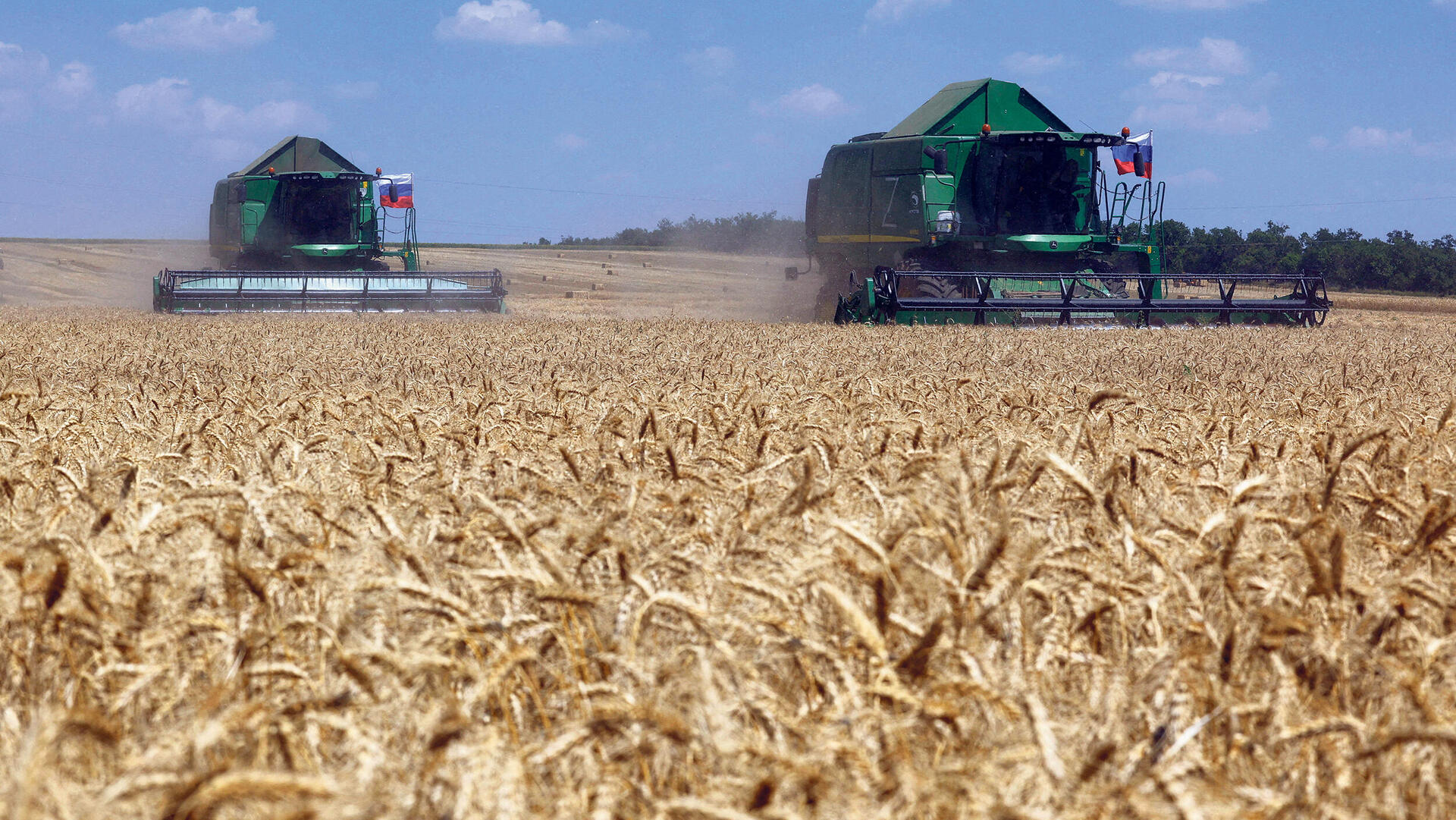 קציר חיטה במחוז דונצק ב אוקראינה