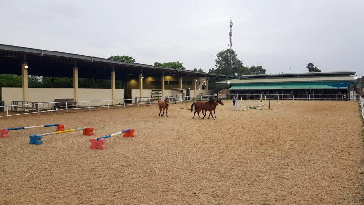 החווה הטיפולית בתל מונד