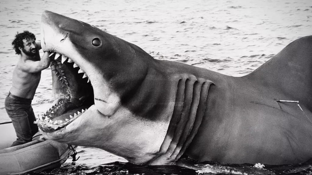 מתוך הסדרה חמישים שנה למלתעות: הסיפור האמיתי פנאי